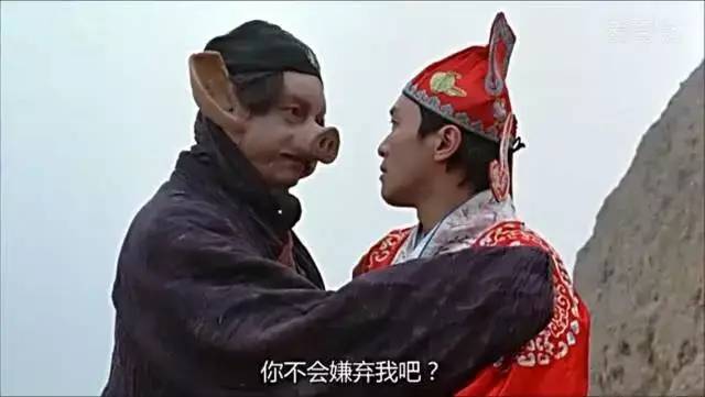 租赁物也有奇葩的：多的是你不知道的事