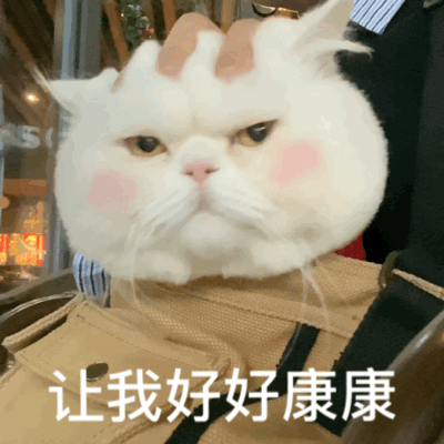 租赁物也有奇葩的：多的是你不知道的事